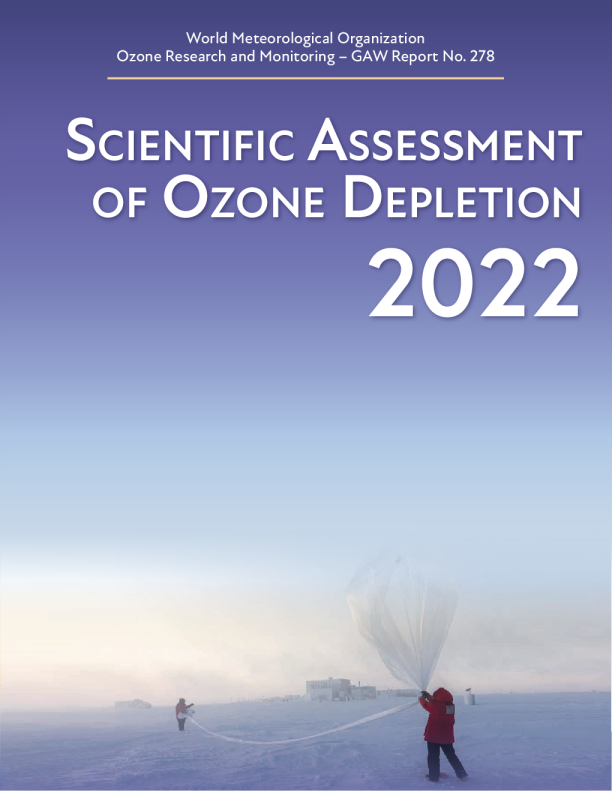 Scientific Assessment of the Ozone Layer Depletion: 2022