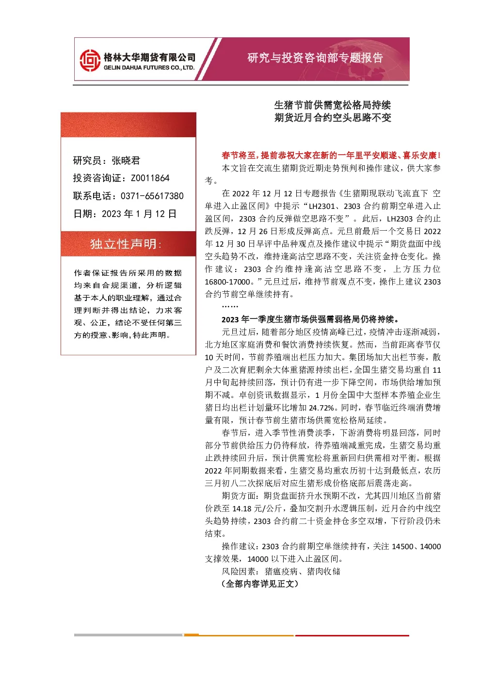 报告封面