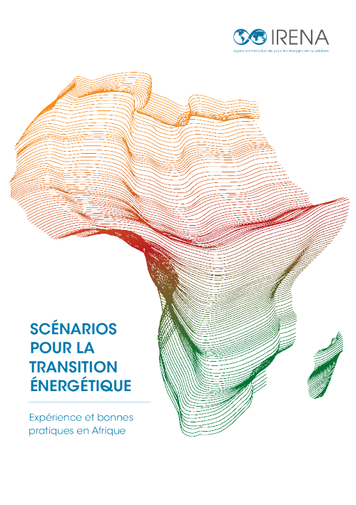 经济转型 ： 非洲经济实践