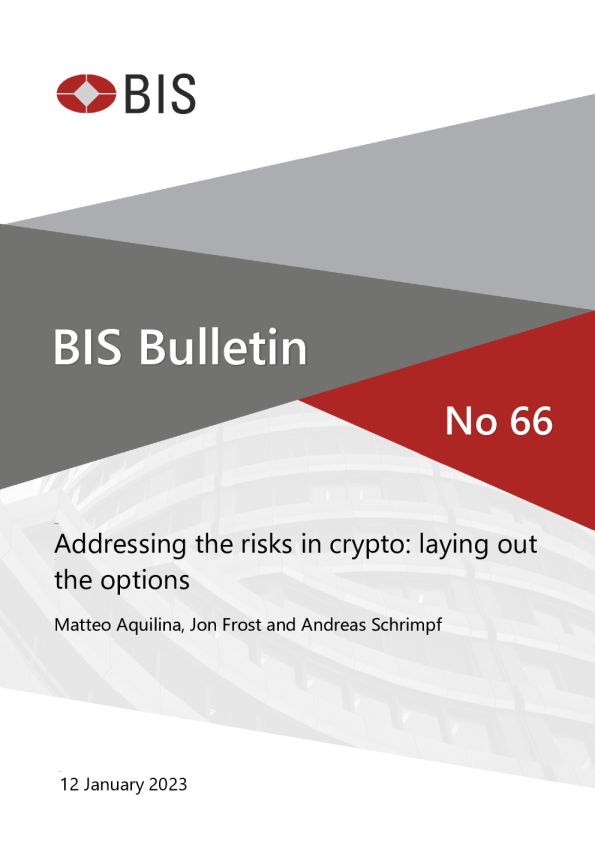 解决加密货币的风险 ： 布局选项