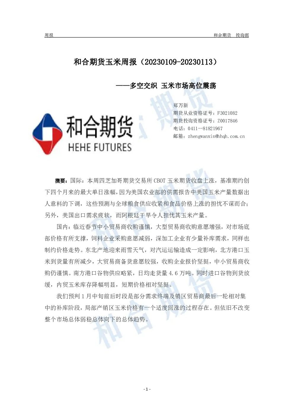 报告封面