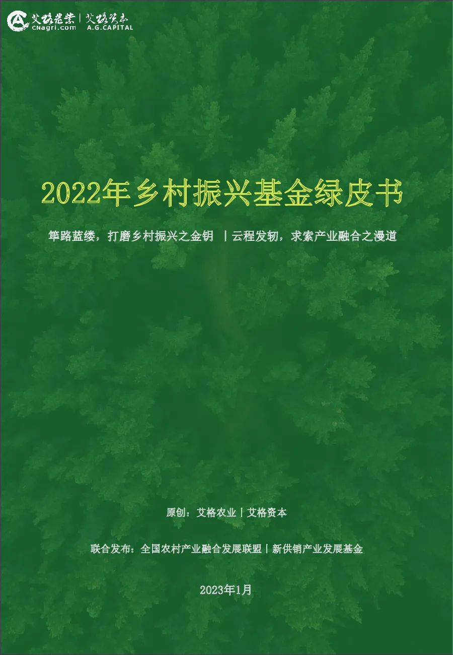 2022年乡村振兴基金绿皮书