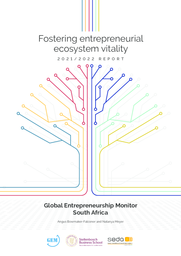 2021-2022全球创业监测南非培育创业生态系统活力报告