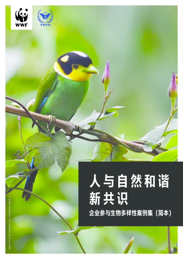 人与自然和谐新共识