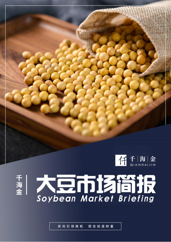 大豆市场简报