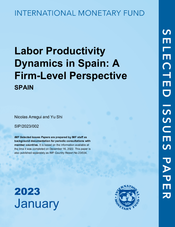 西班牙劳动生产率动态：企业层面视角：西班牙