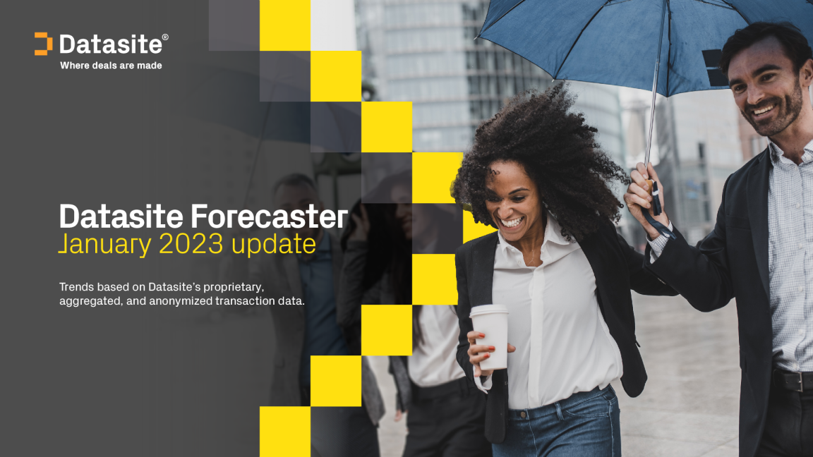 Datasite 预报员 1 月全球展望