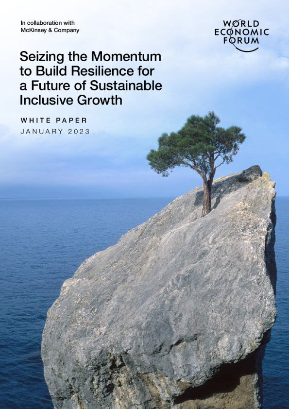 抓住势头，为可持续包容性增长的未来建立韧性