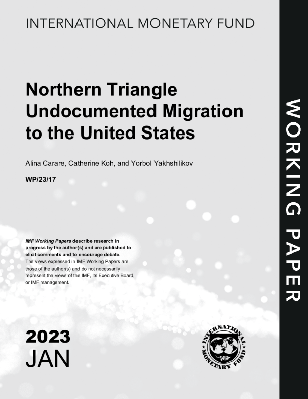 中美洲北部三角区无证移民至美国