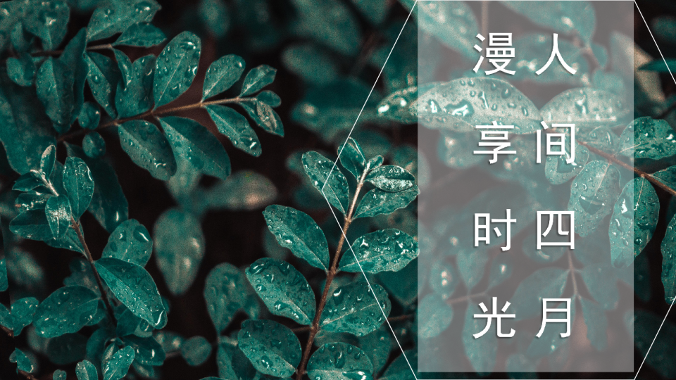 房地产保利清明活动方案
