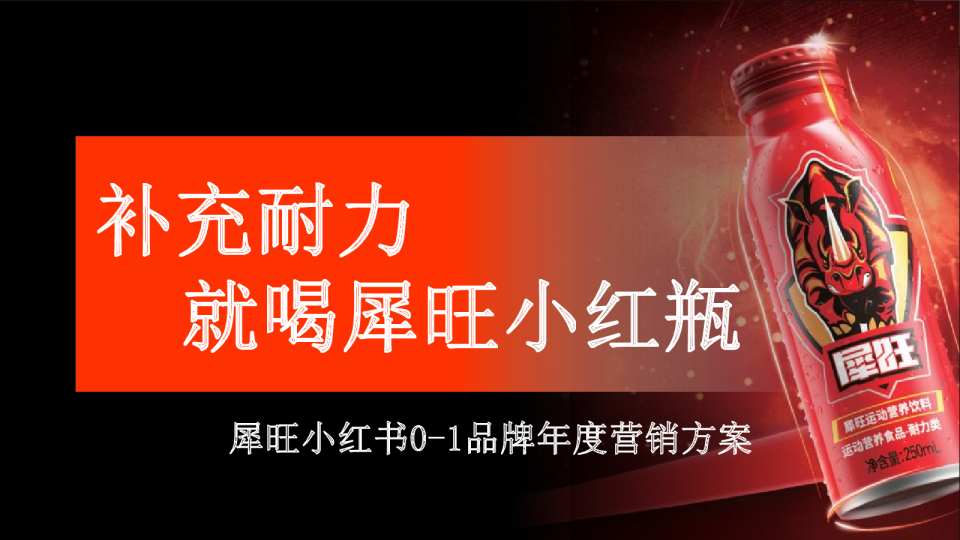 2022犀旺功能饮料小红书0-1品牌营销方案