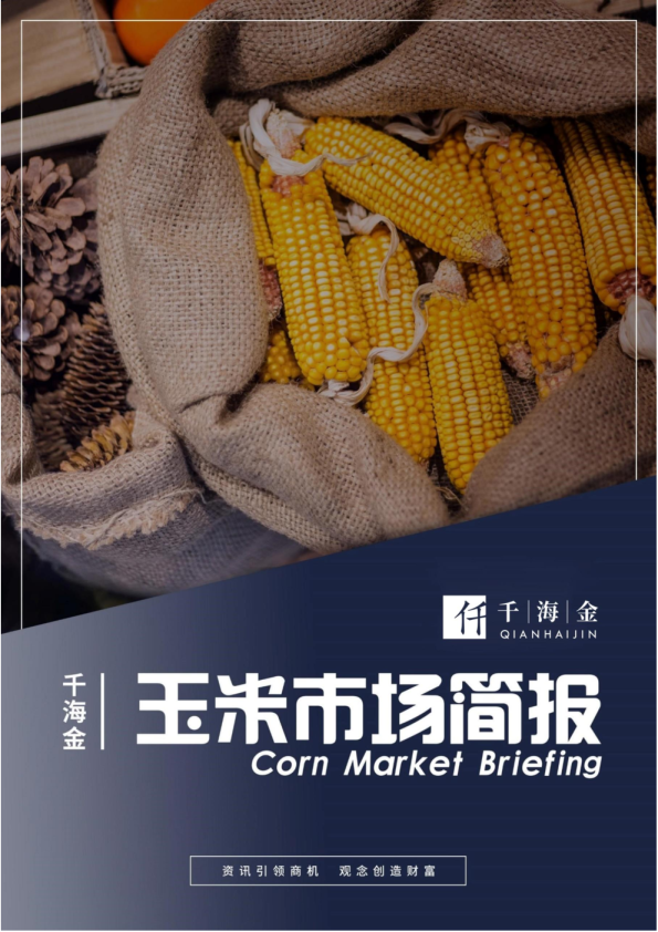 玉米市场简报