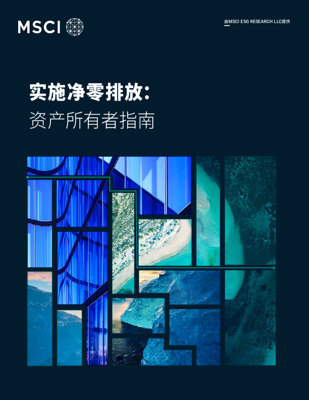 实施净零排放：资产所有者指南