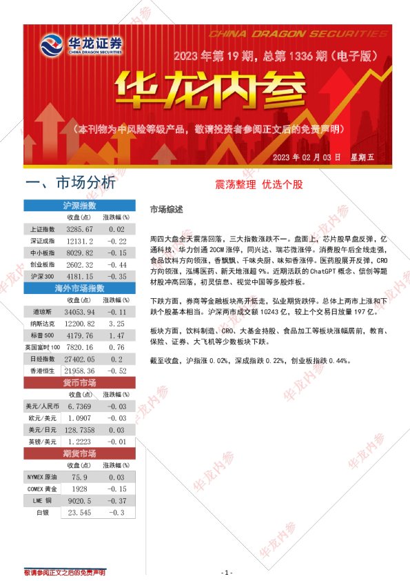 华龙内参2023年第19期，总第1336期（电子版）