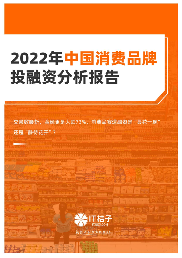 2022年中国消费品牌投融资分析报告