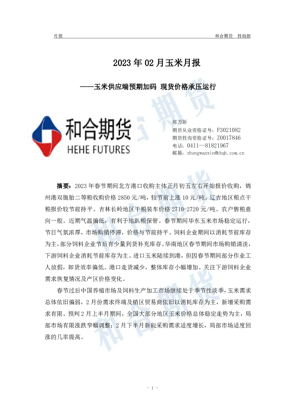 报告封面