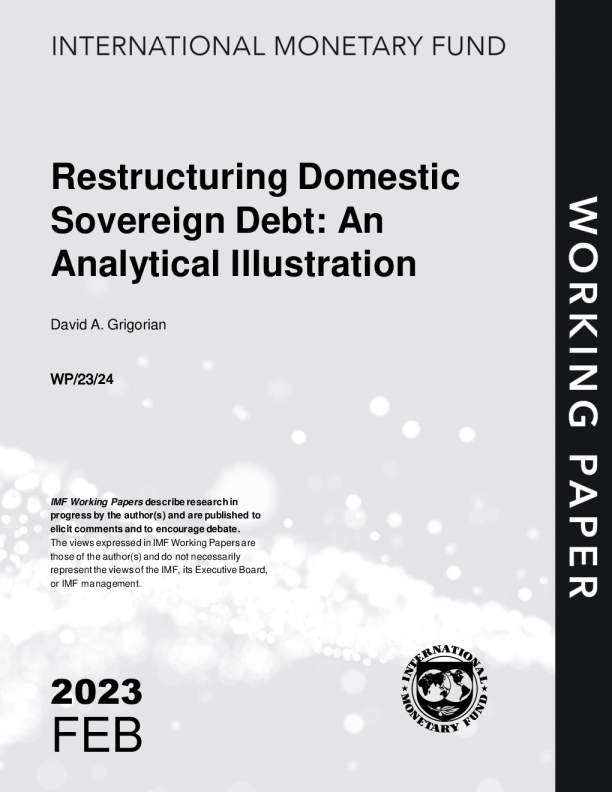 重组国内主权债务：分析性例证