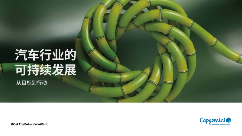 《汽车行业的可持续发展：从目标到行动》中文版