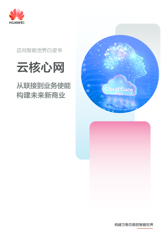 2023华为迈向智能世界白皮书云核心网篇