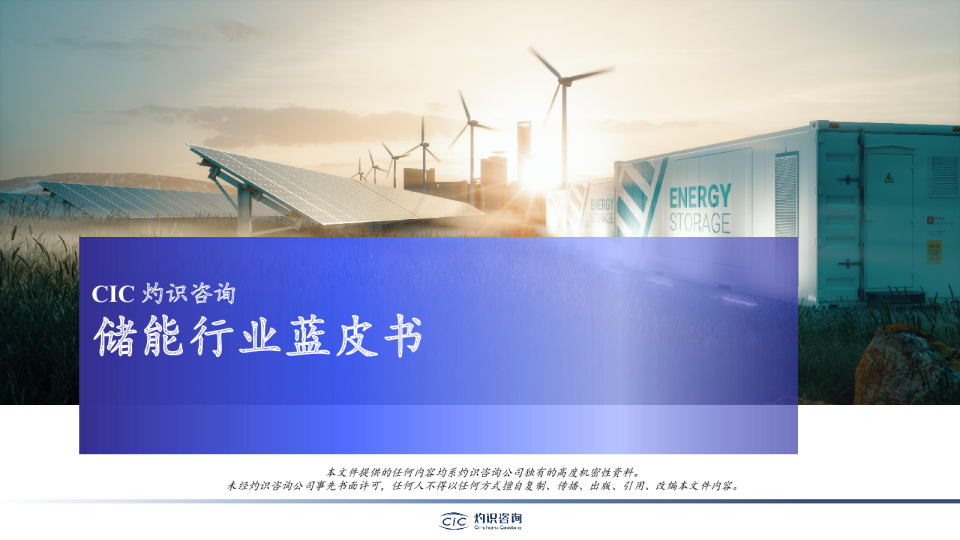 中国储能行业蓝皮书