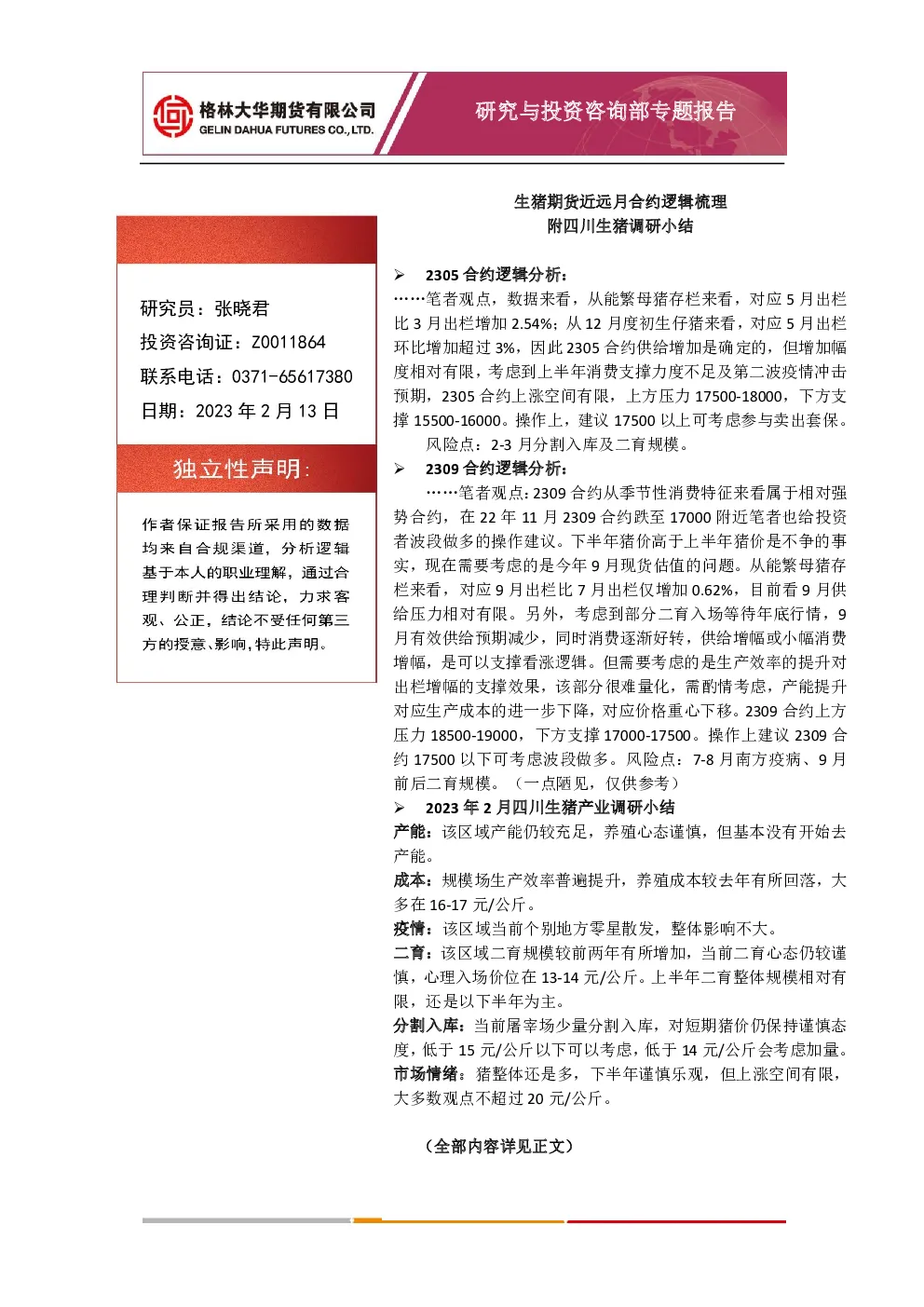 报告封面