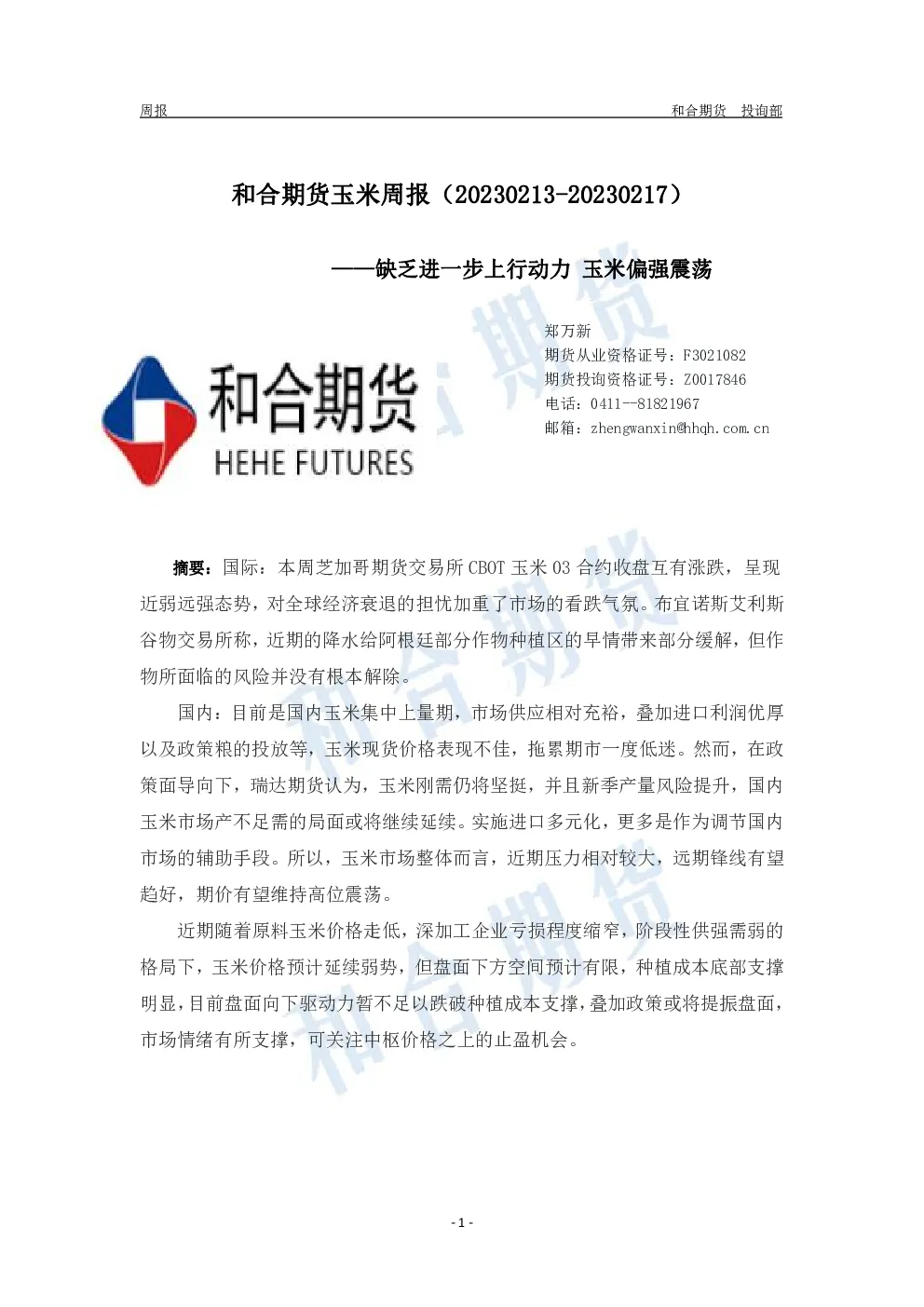 报告封面