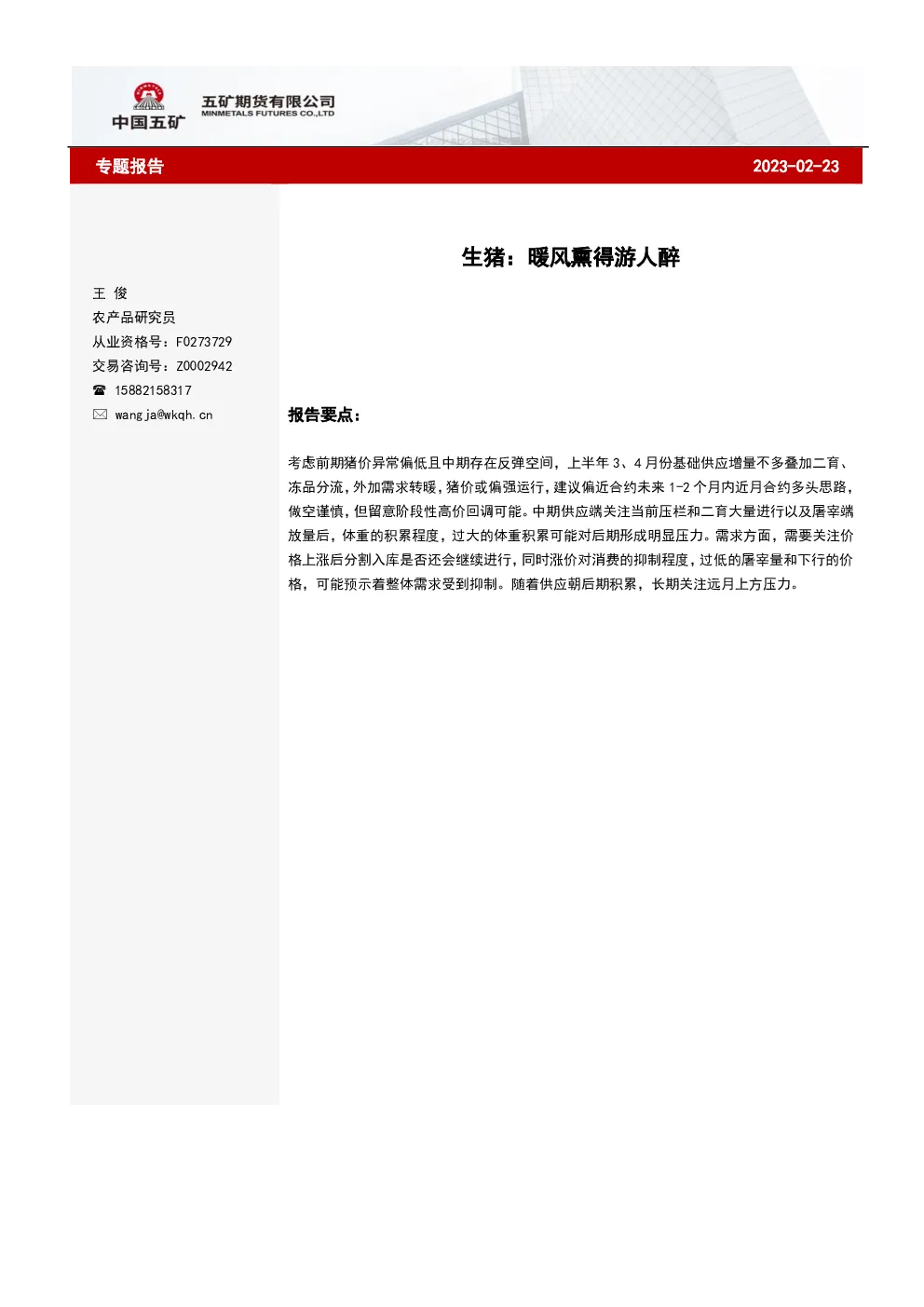 报告封面
