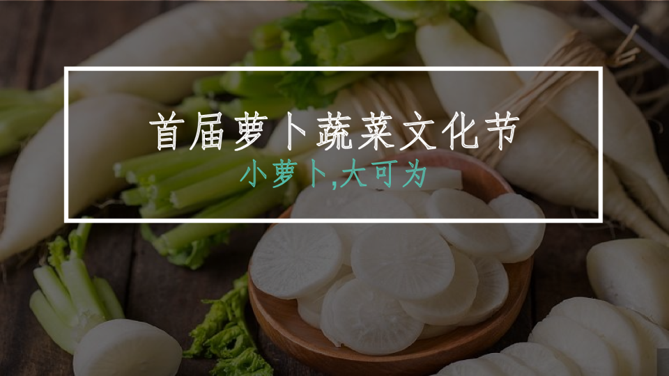 萝卜蔬菜文化节活动方案
