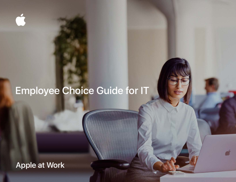 面向 IT 的 Apple 员工选择指南