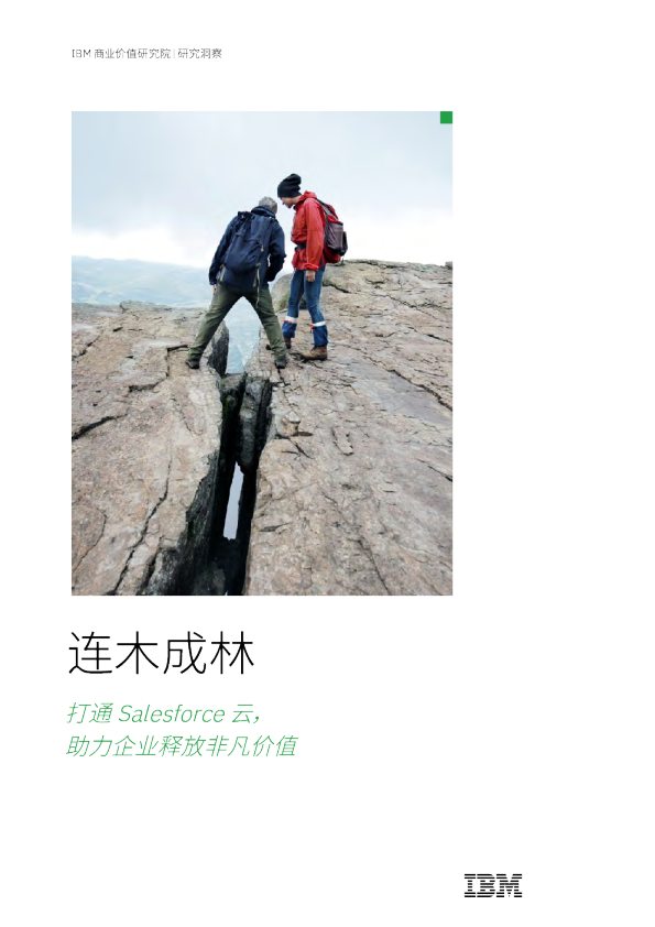 打通Salesforce云，助力企业释放非凡价值：连木成林