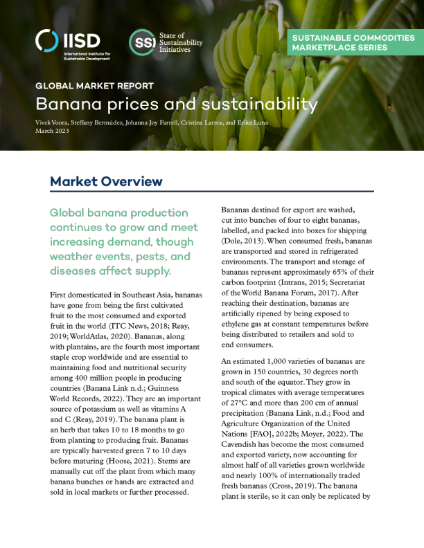 全球市场报告：香蕉价格与可持续性