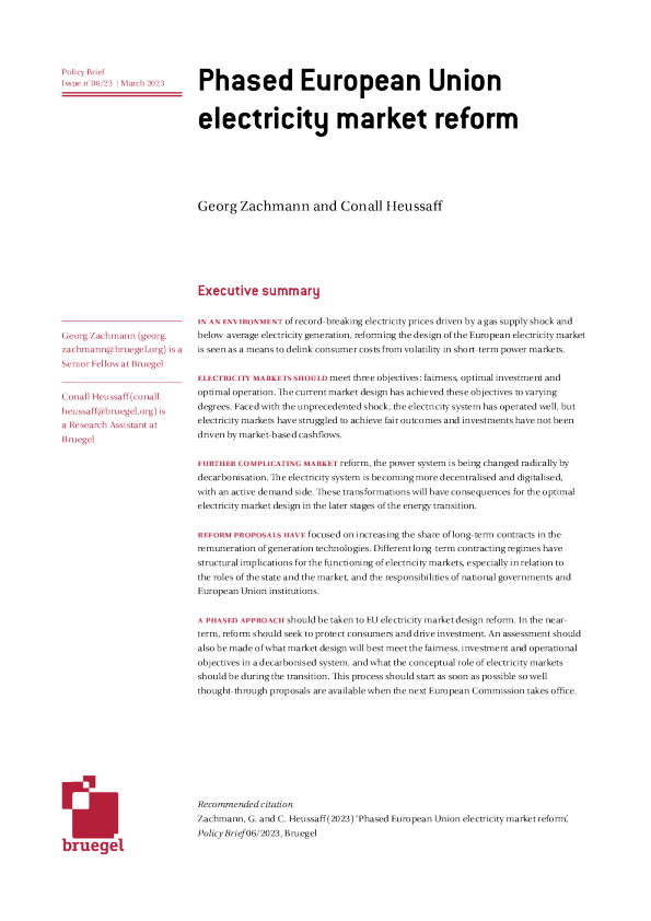 分阶段的欧盟电力市场改革