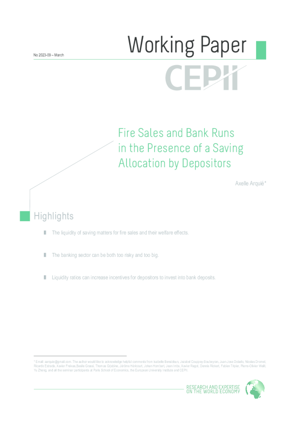 在存款人存在储蓄分配情况下的抛售和银行挤兑