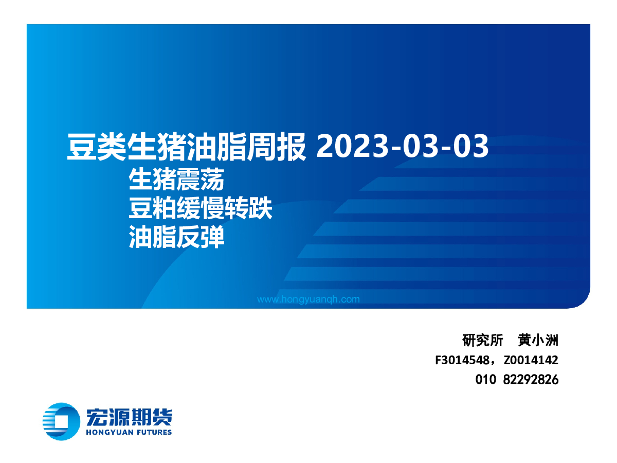 2023-03-03 黄小洲 宏源期货 劣***