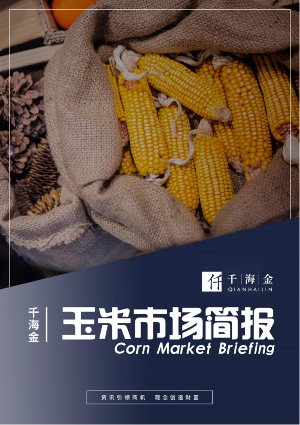 玉米市场简报