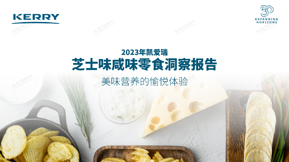 2023年芝士味咸味零食洞察报告