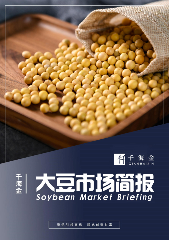 大豆市场简报