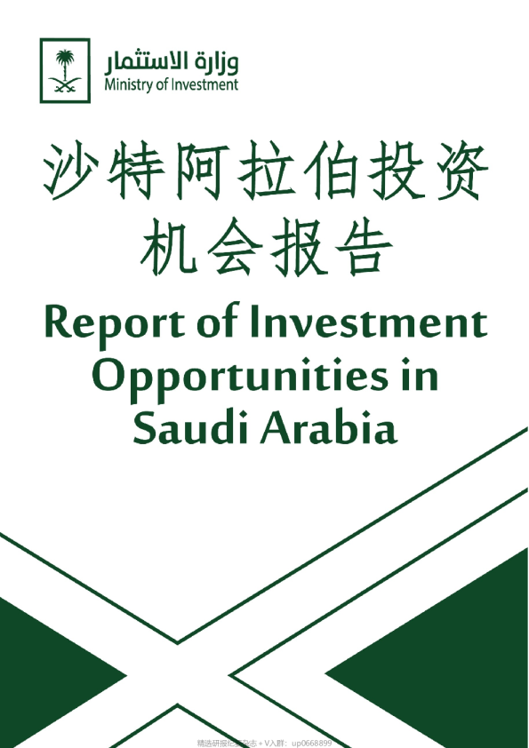 沙特投资机会报告