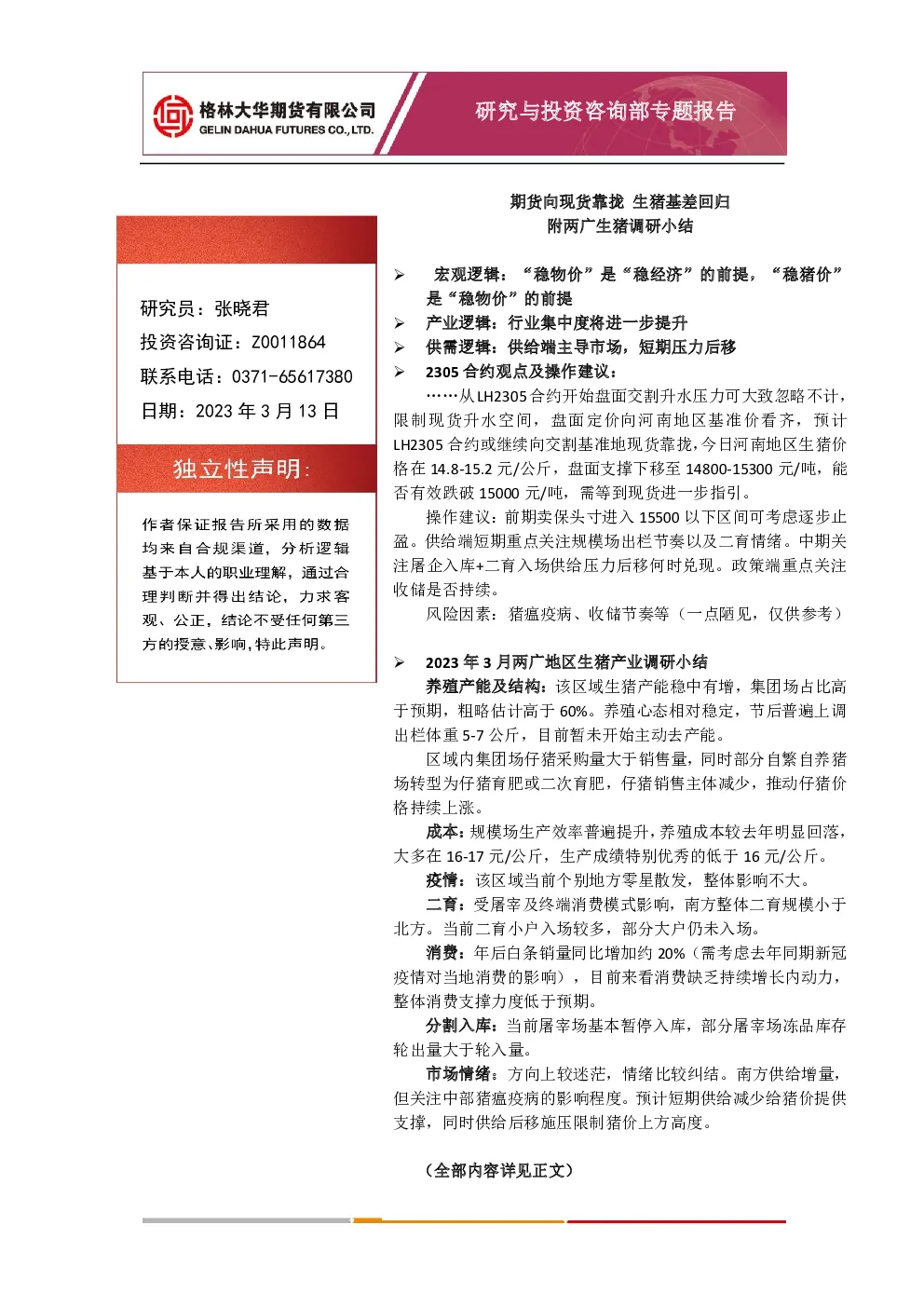 报告封面