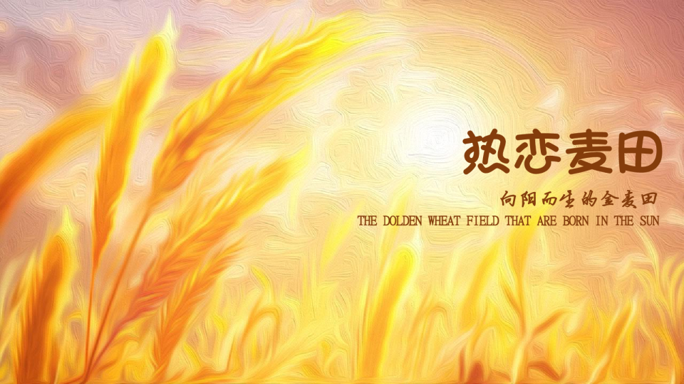 商业购物中心秋季热恋麦田主题方案