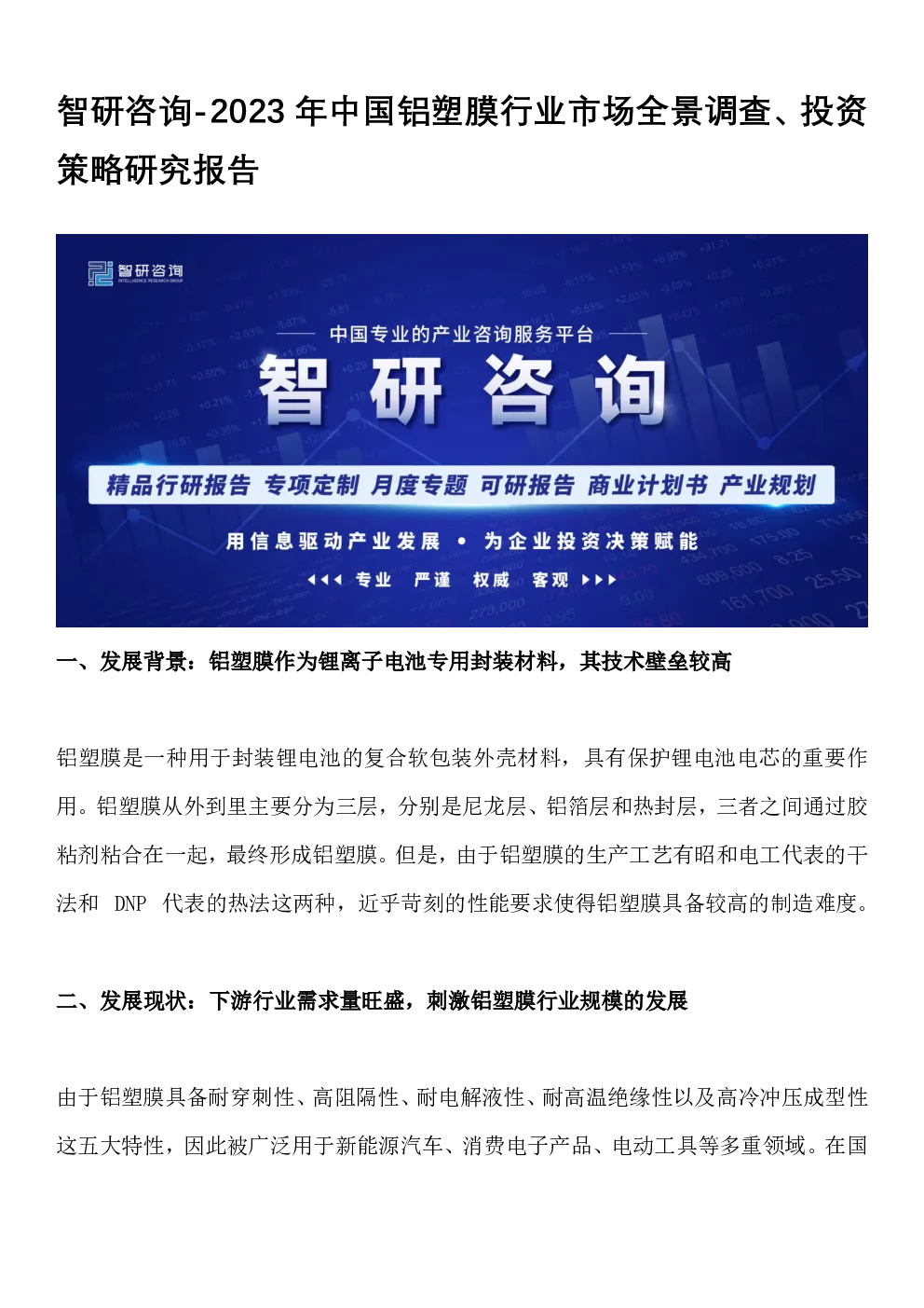 报告封面
