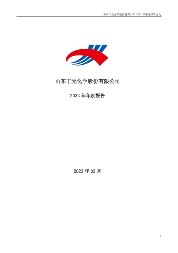 丰元股份：2022年年度报告