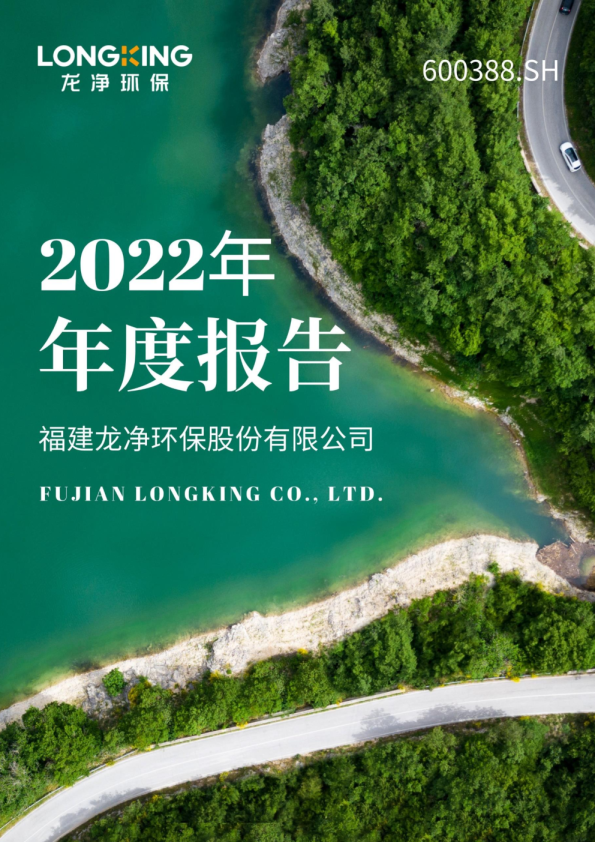 ST龙净：2022年年度报告