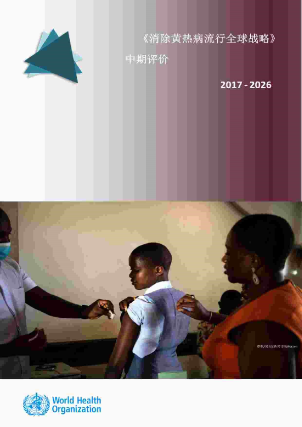 医药行业《2017~2026年消除黄热病流行全球战略》中期评价 第1卷：报告~2023年1月（英译中）