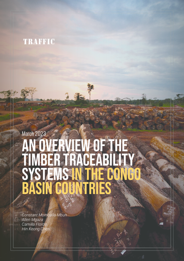 对刚果盆地国家木材追溯系统的概述
