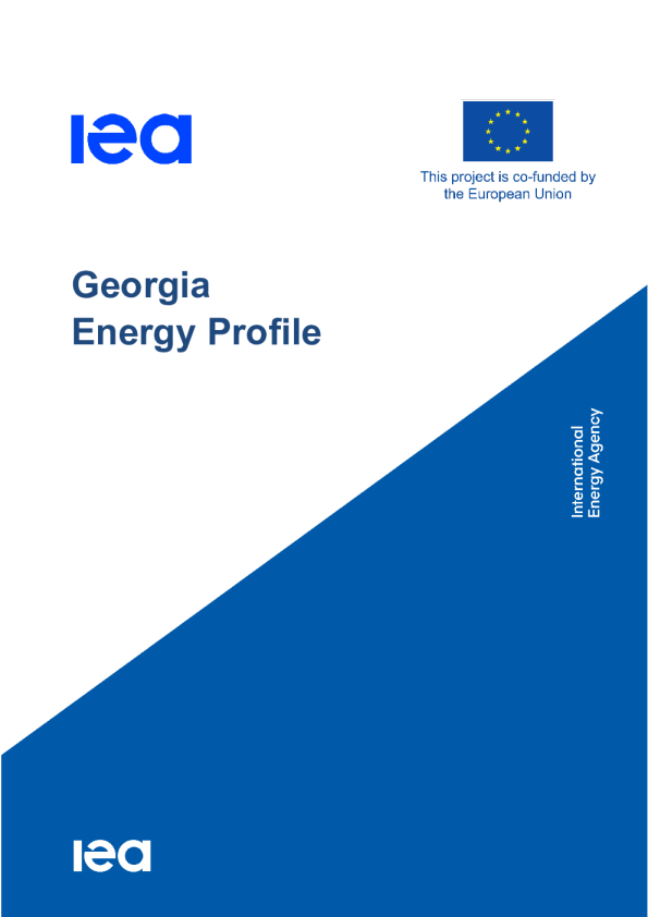 乔治亚能源概况