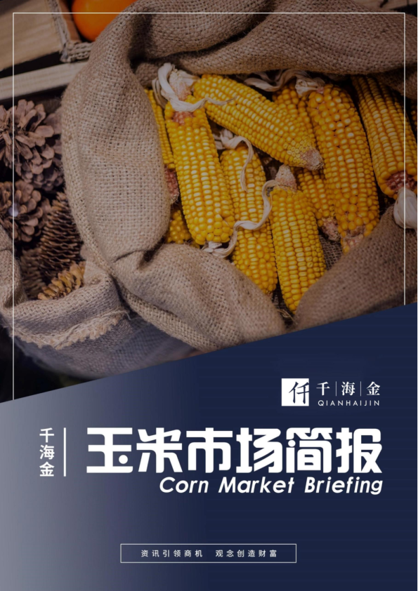 玉米市场简报