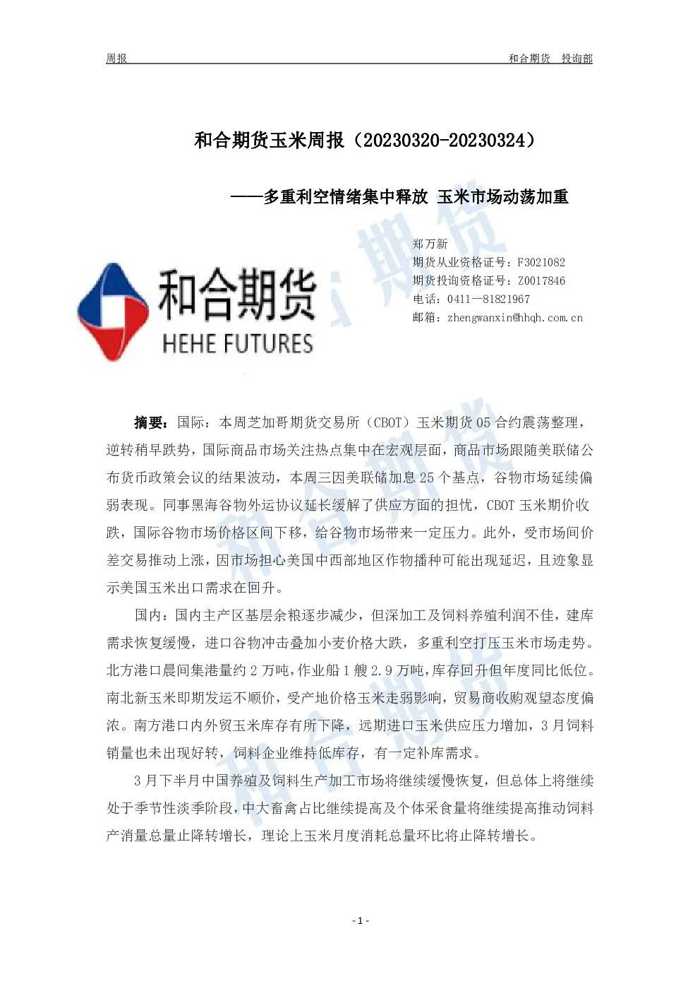 报告封面