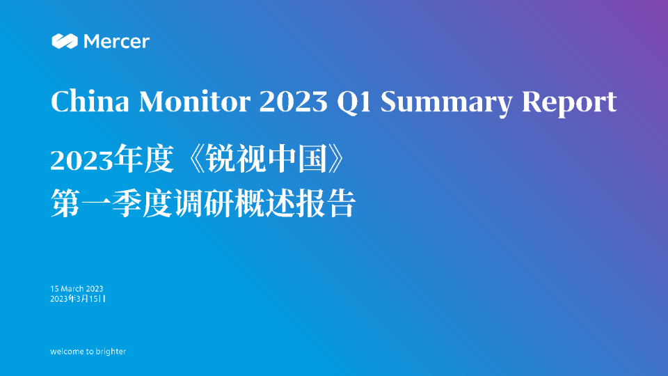 2023锐视中国第一季度概述报告