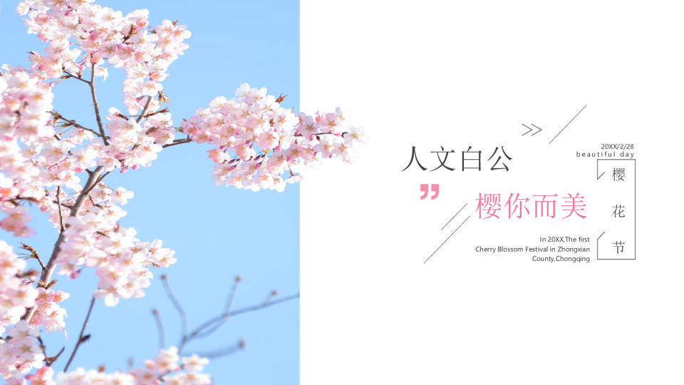 人文白公，樱你而美策划案